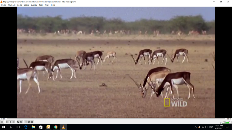 Screenshot (337).png