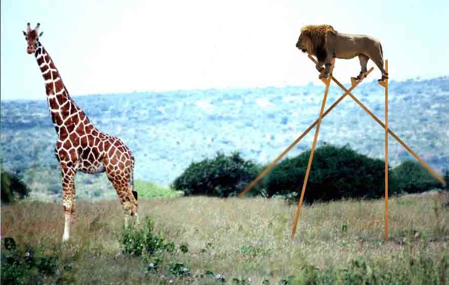 Pic of the Day....!!!