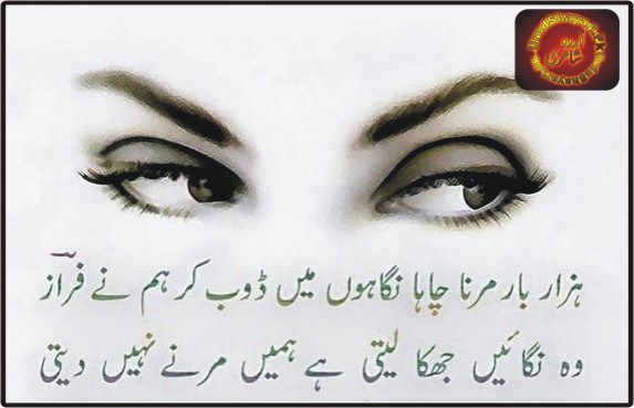 nighain.jpg