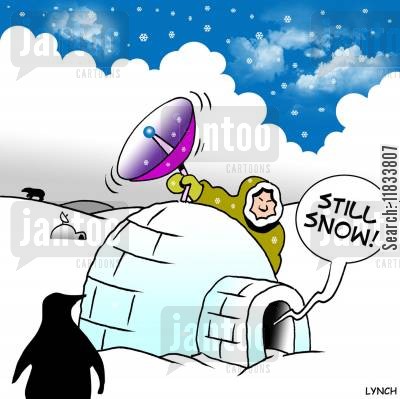 Still snow.jpg