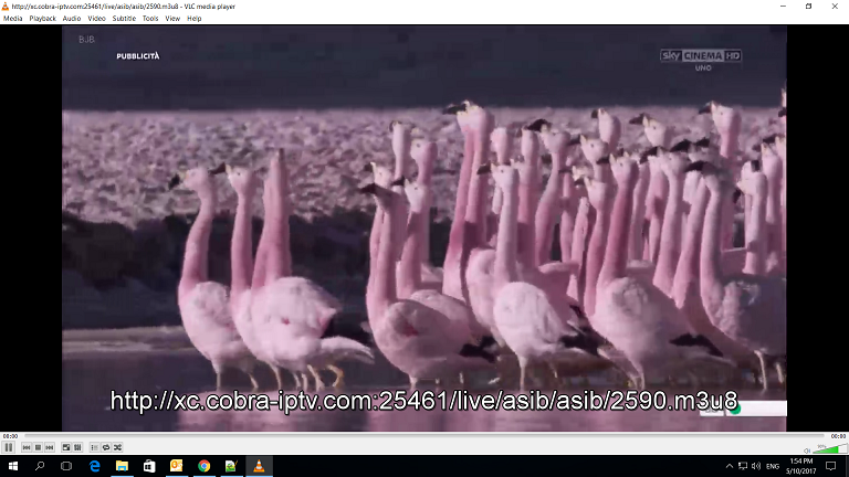 Screenshot (385).png