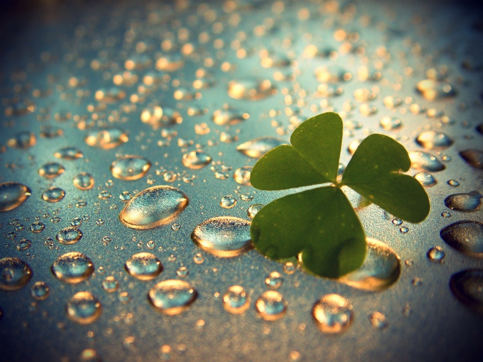 46967114-rain-wallpapers.jpg