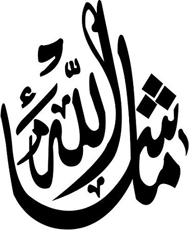 51xXG8etaxL._SY450_.jpg