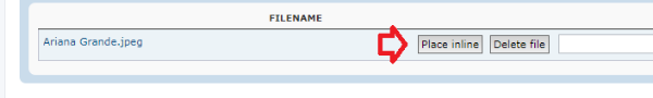 place inline.png