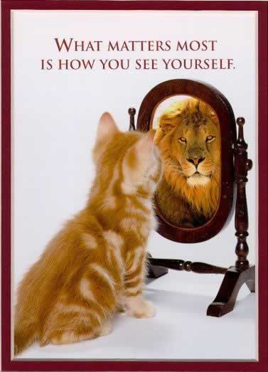 funny-sayings-quotes-27976583-377-523.jpg