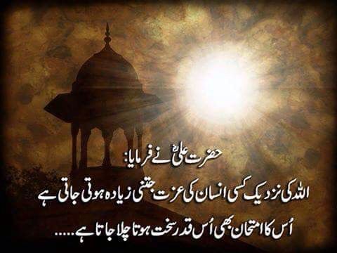 24cab364a8ca9690a59d7edd7bdae6c9--ali-quotes-urdu-quotes.jpg