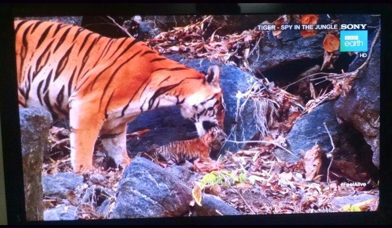 TP 4180, AsiaSat 7