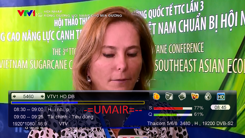 VTV (2).png