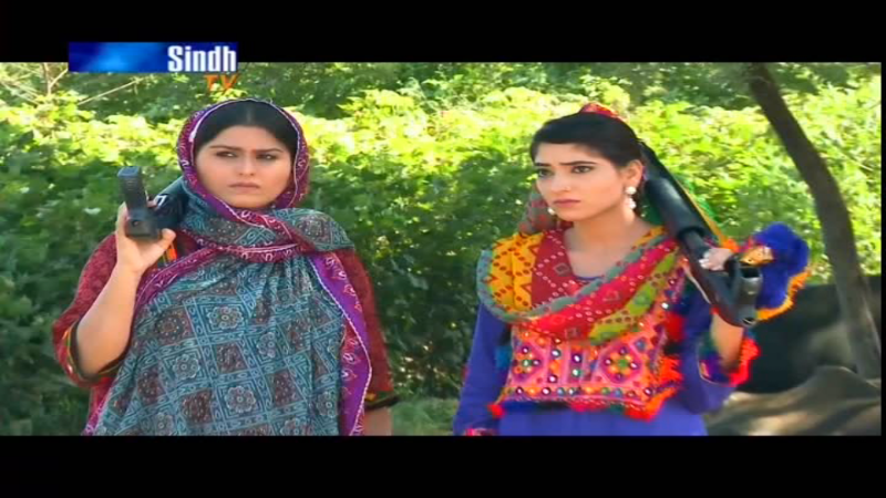 Sindh TV, TP 11990, 95E