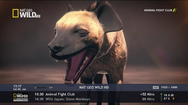 Net Geo Wild HD 88E