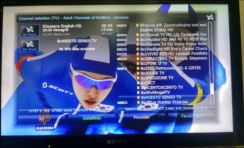 Some Important Channels of HotBird