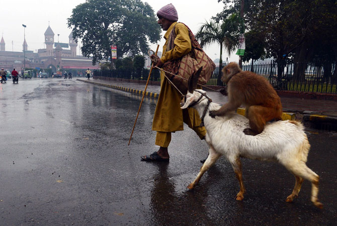 pakistan-winter-rain-13-december-2012-5.jpg