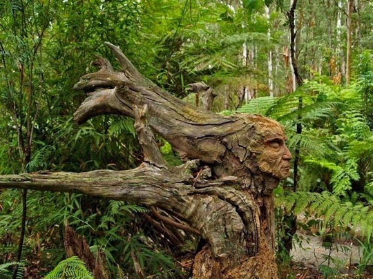 amazing_tree_carving_540.jpg