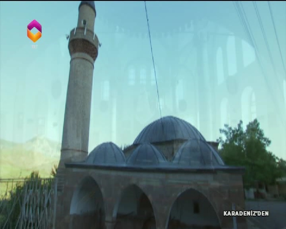 trt dayanet.jpg