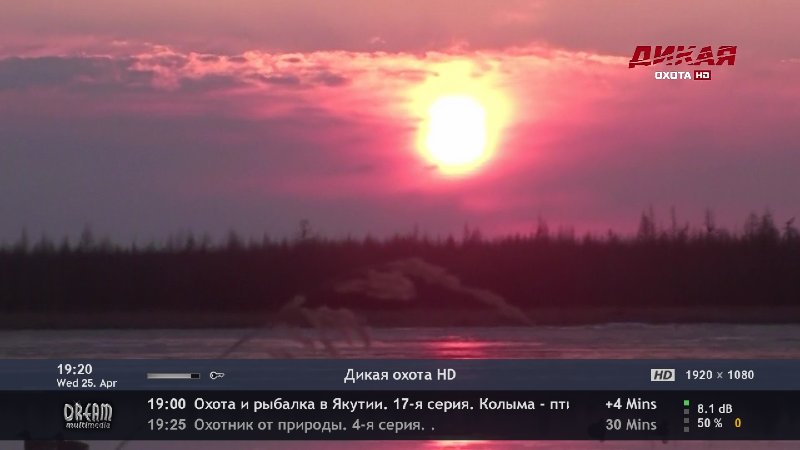 dreamDroid_1524676824877.jpg