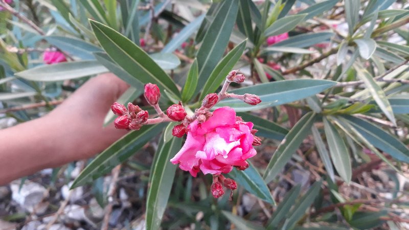 20180518_185931.jpg