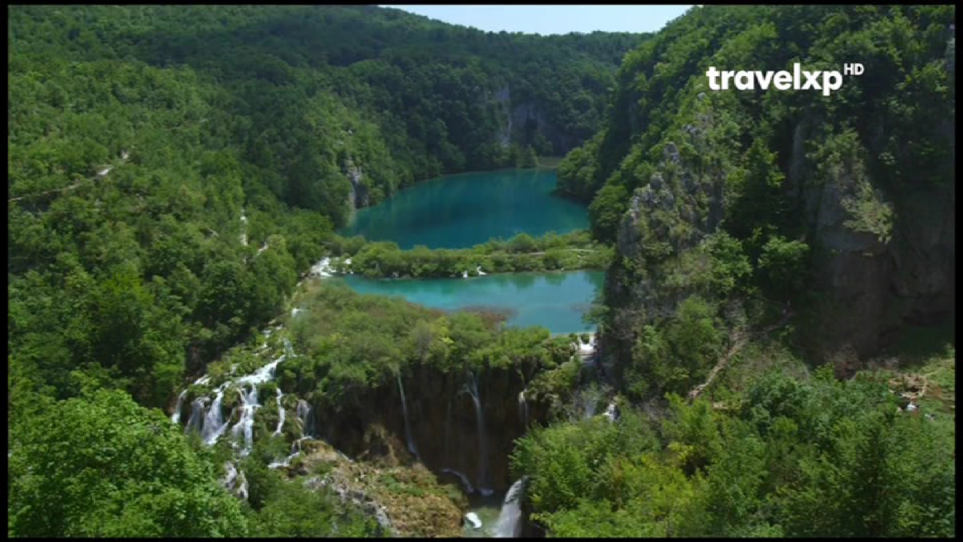 1_0_1_81E6_546_1_3B62B52_0_0_0 (1).jpg