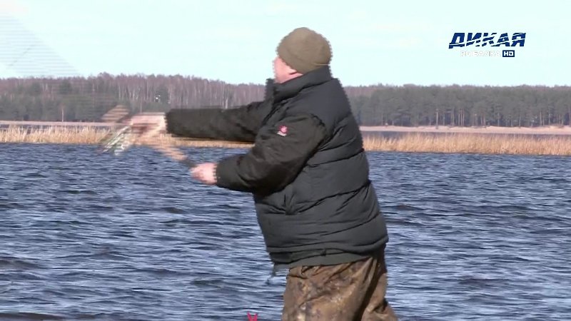 Screenshot_20180617-140352_MX Player.jpg