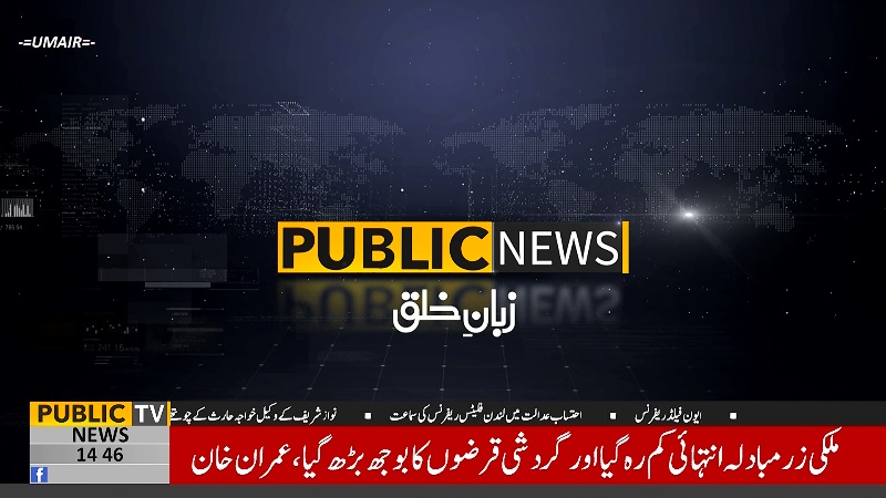 Public (1).png