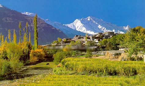Hunza-Valley-1.jpg