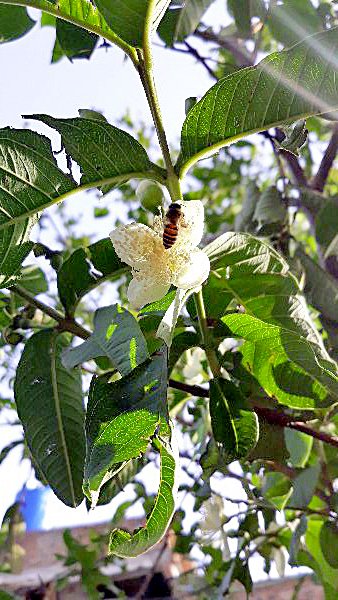 20180519_071147.jpg
