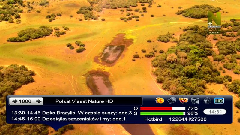 nature 2.png