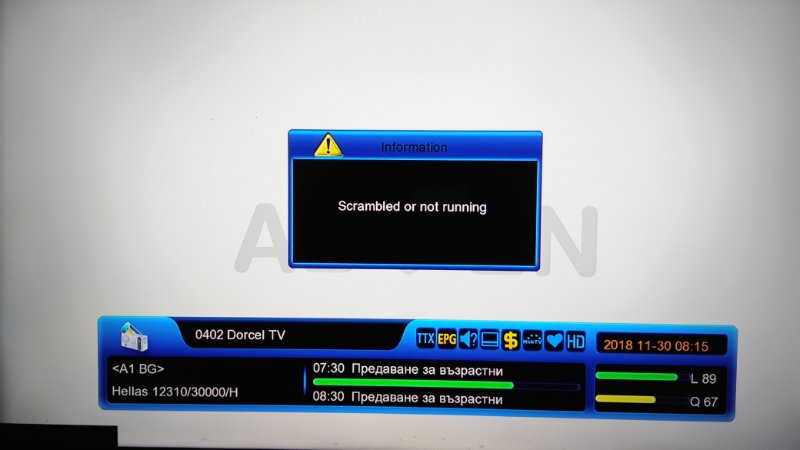 Dorcel TV .jpg