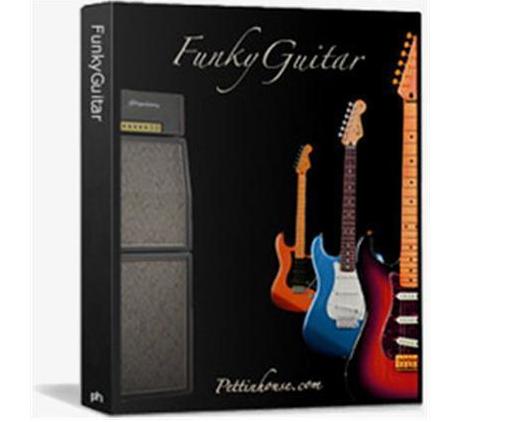 Funky_Guitar.JPG