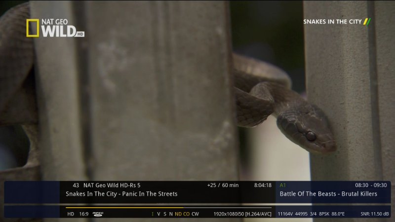 screenshot (1).jpg