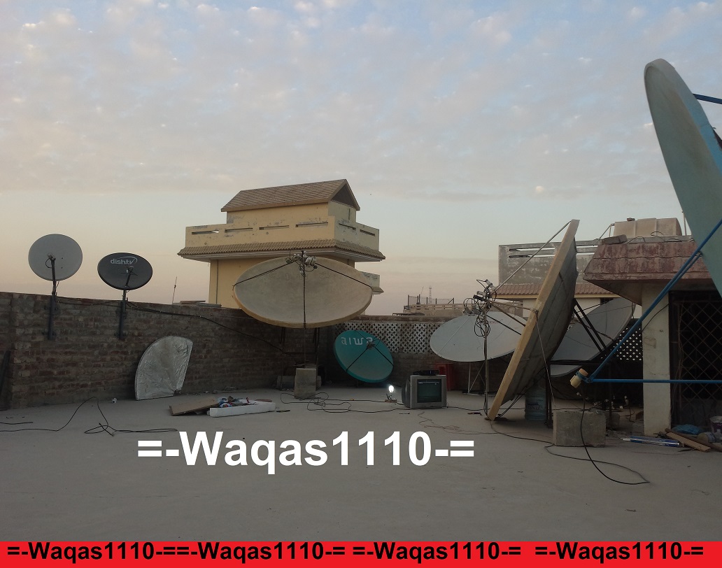 06.jpg