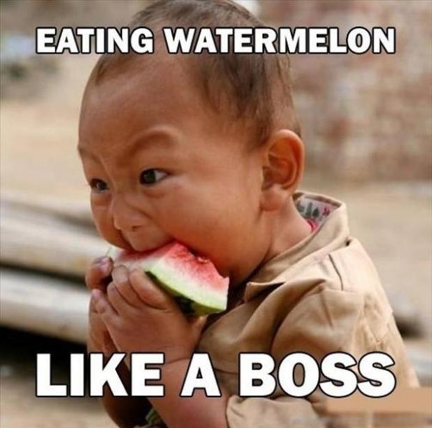 Eating-Watermelon-Like-A-Boss-Funny-Cool-Meme-Image.jpg