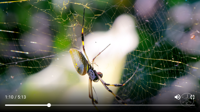 Screenshot_20190730-204017.png