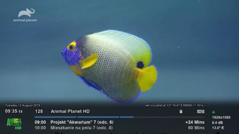 dreamDroid_1565670922920.jpg
