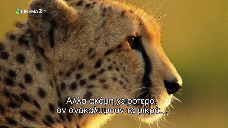 OTE 9E