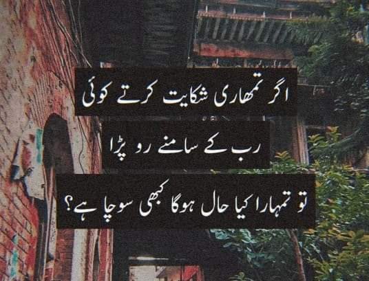 FB_IMG_1571733218901.jpg