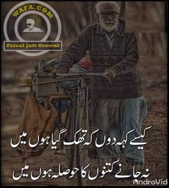 FB_IMG_1571730742819.jpg