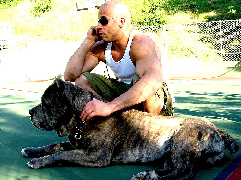 vin-diesel-800.jpg