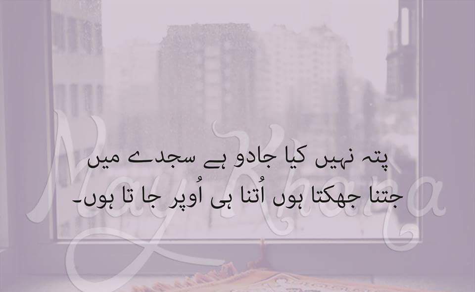 FB_IMG_1452692030641.jpg