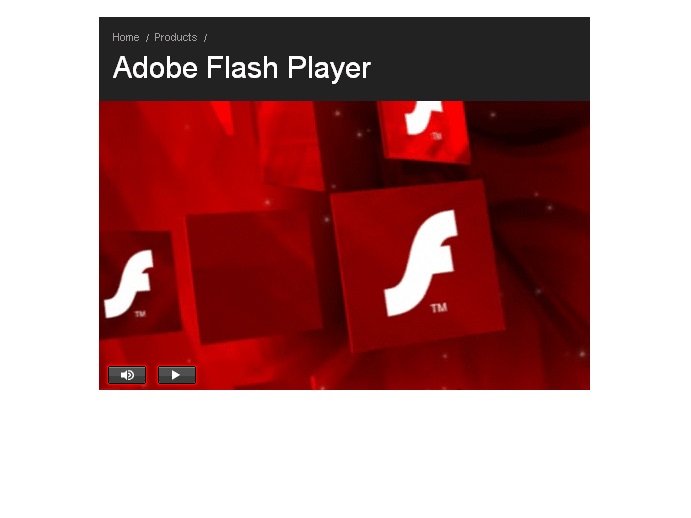 adobe flash player.jpg