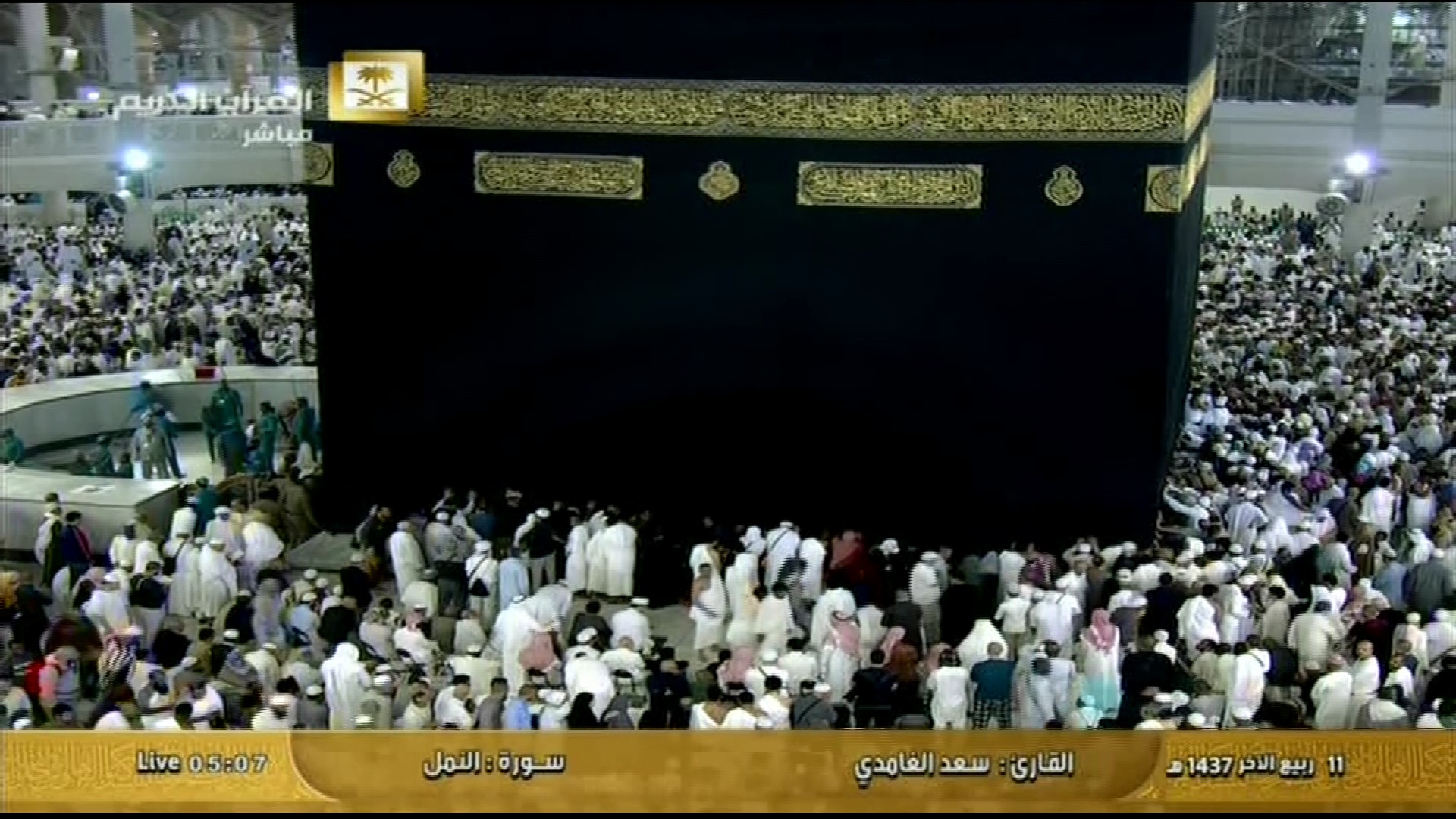 saudi1.jpg