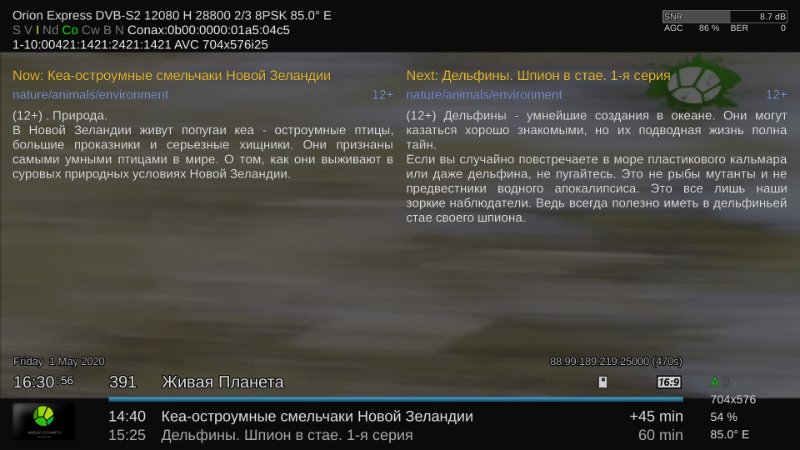 85.jpg