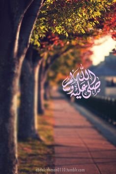 3d48f50fad9c5ad1ab8a0b5afc476736--quran-quotes-arabic-quotes.jpg