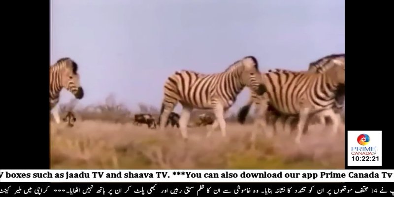 Screenshot_20200724-192551.jpg