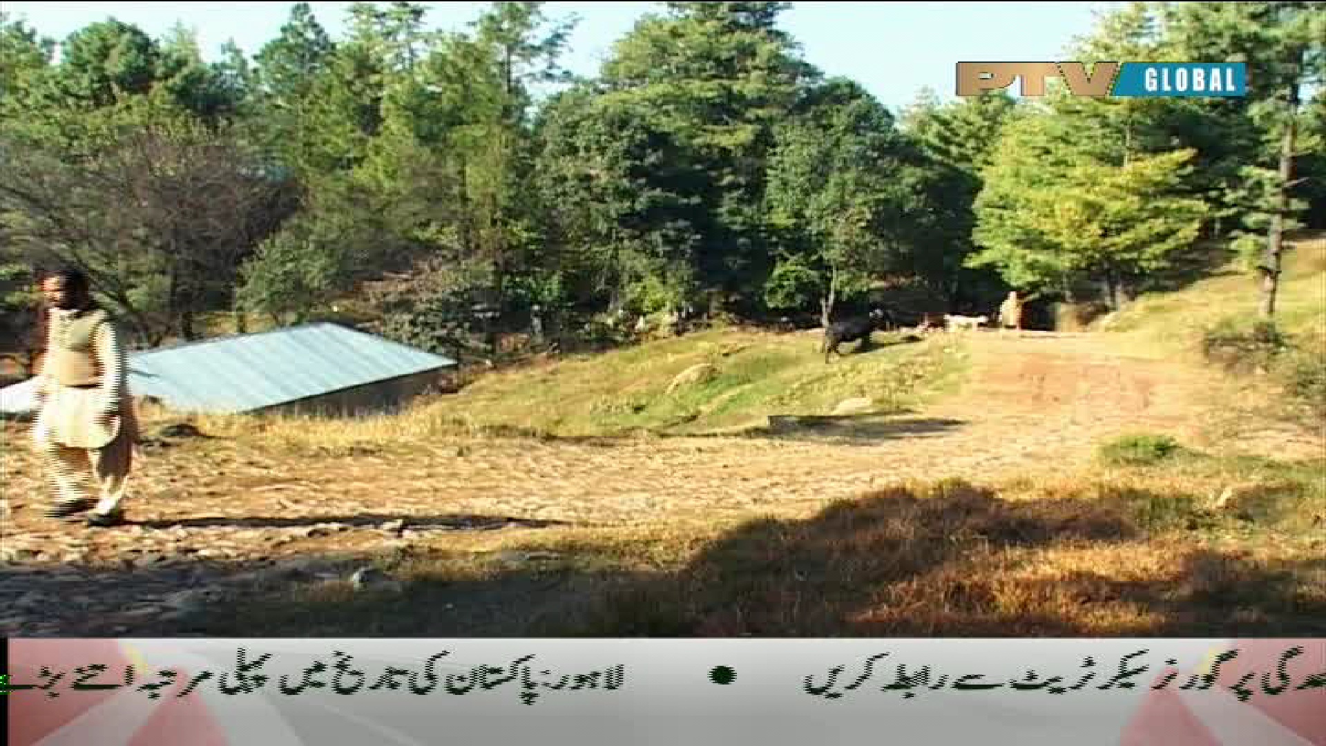 PTV GLOBAL @ PAKSAT 1R , 38'E<br />4003 V 15555