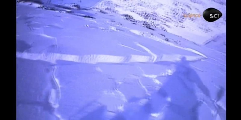 Screenshot_20200821-083222.jpg