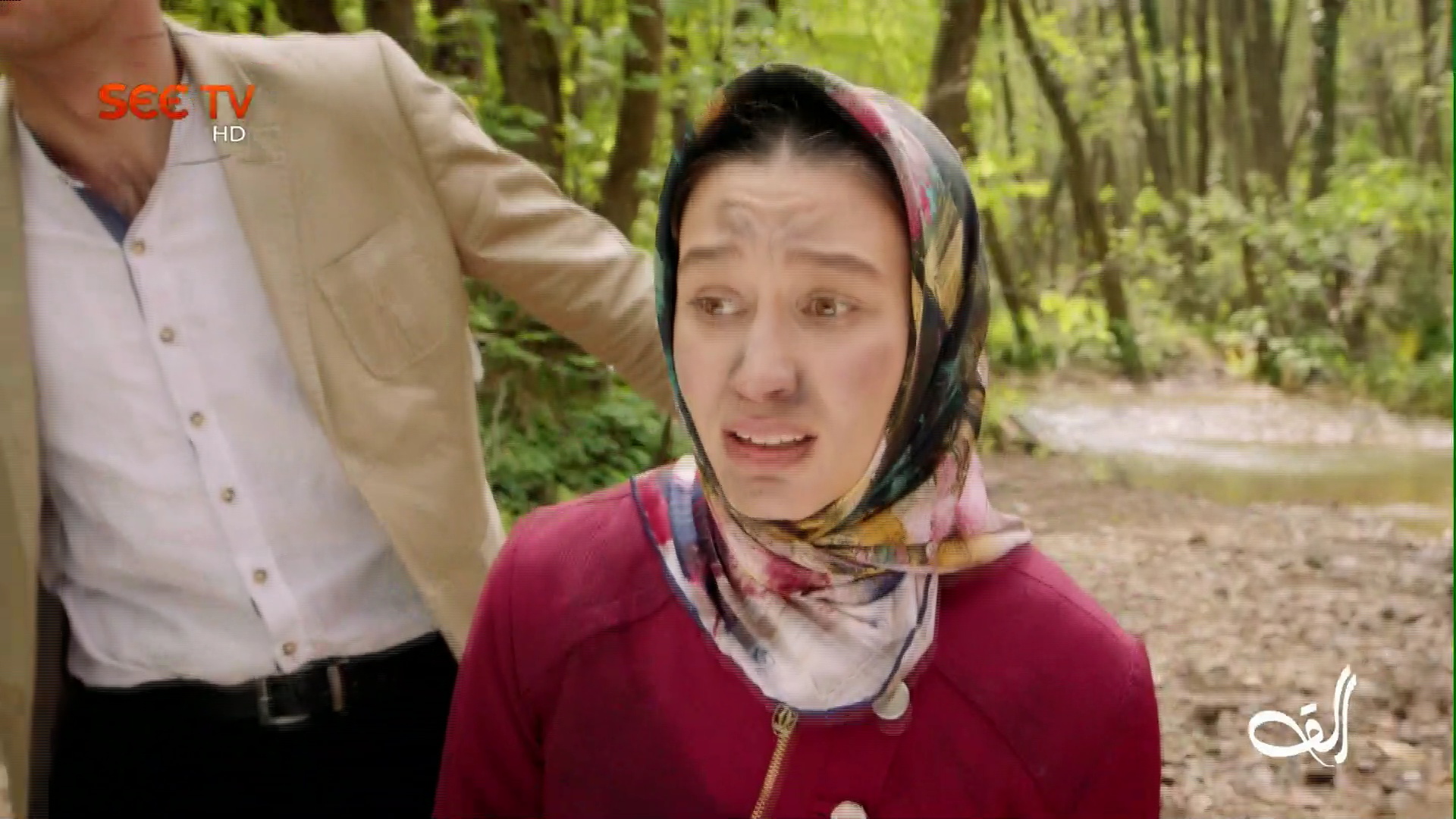 Seetv HD Paksat 38E 3832 V 2600