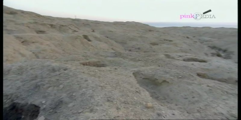 Screenshot_20200903-212632.jpg