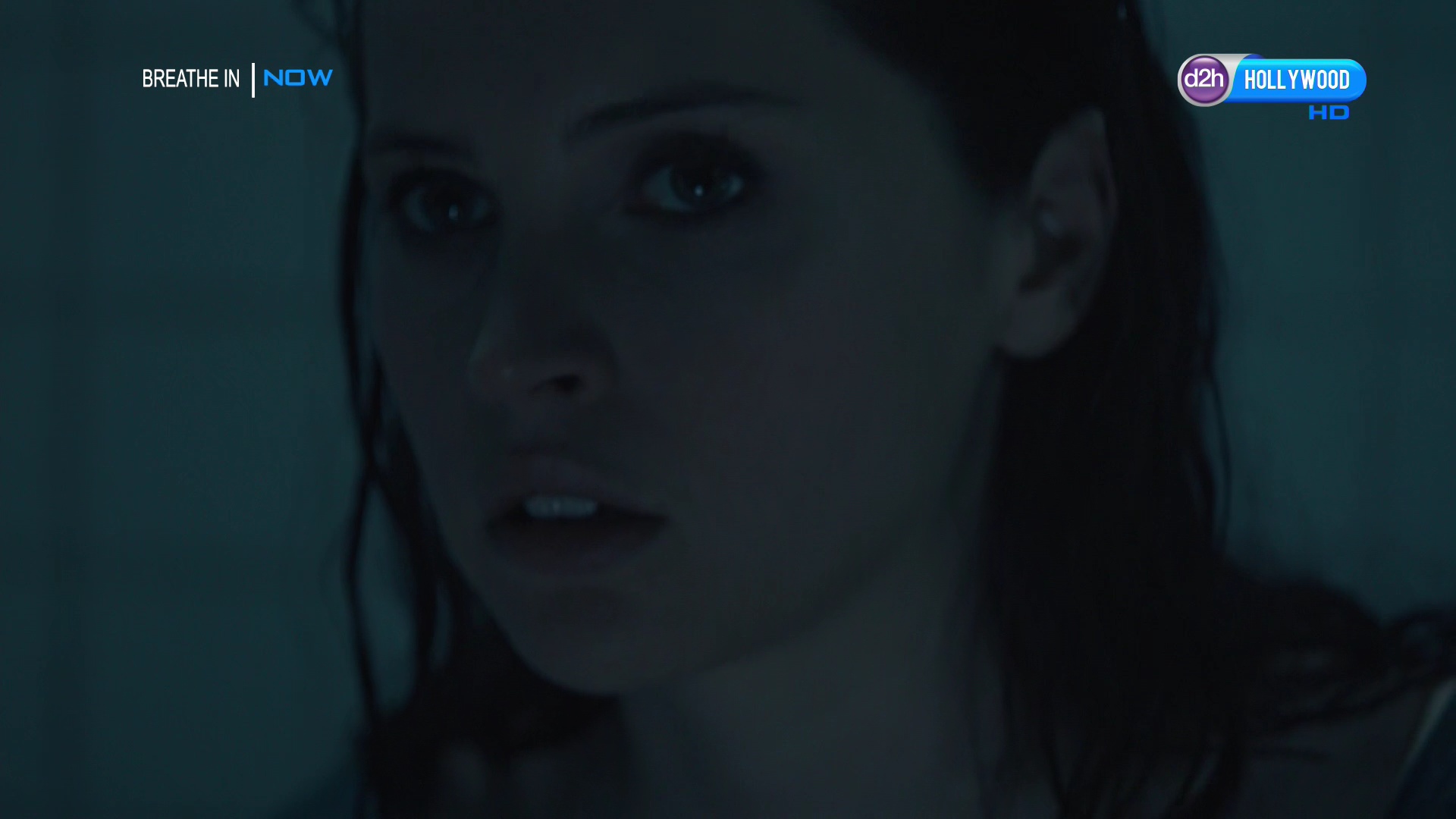 HOLLYWOOD HD St2 88E 11483 H 44995