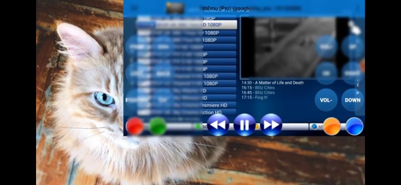 Screenshot_20200907_214842_com.vanced.android.youtube.jpg