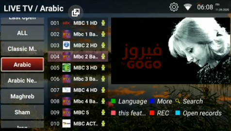 GOGO OTT.png
